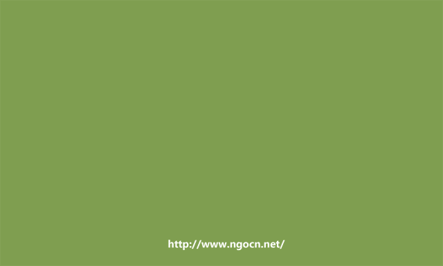 ngocnnet